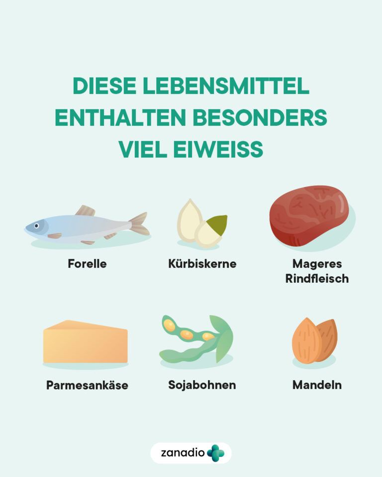 Infografik mit sechs eiweißreichen Lebensmitteln: Forelle, Kürbiskerne, mageres Rindfleisch, Parmesankäse, Sojabohnen und Mandeln