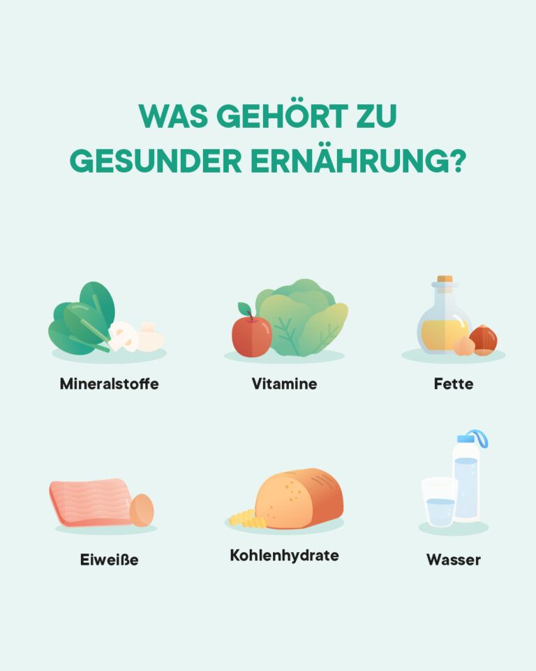 Grafische Übersicht gesunder Lebensmittel
