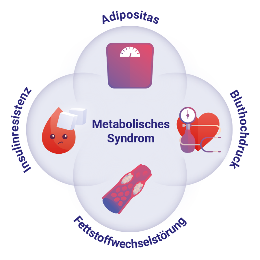 Metabolisches Syndrom