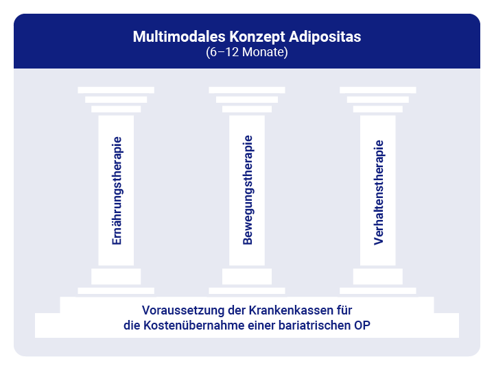 Grafik der drei Säulen eines MMK