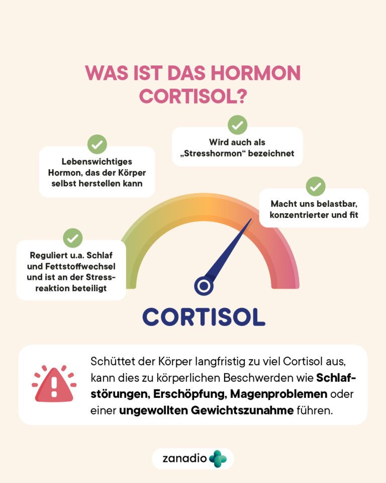 Infografik „Was ist das Hormon Cortisol?“: Tachometer mit vier Merkmalen und einem Warnhinweis zu dauerhaft erhöhtem Cortisol