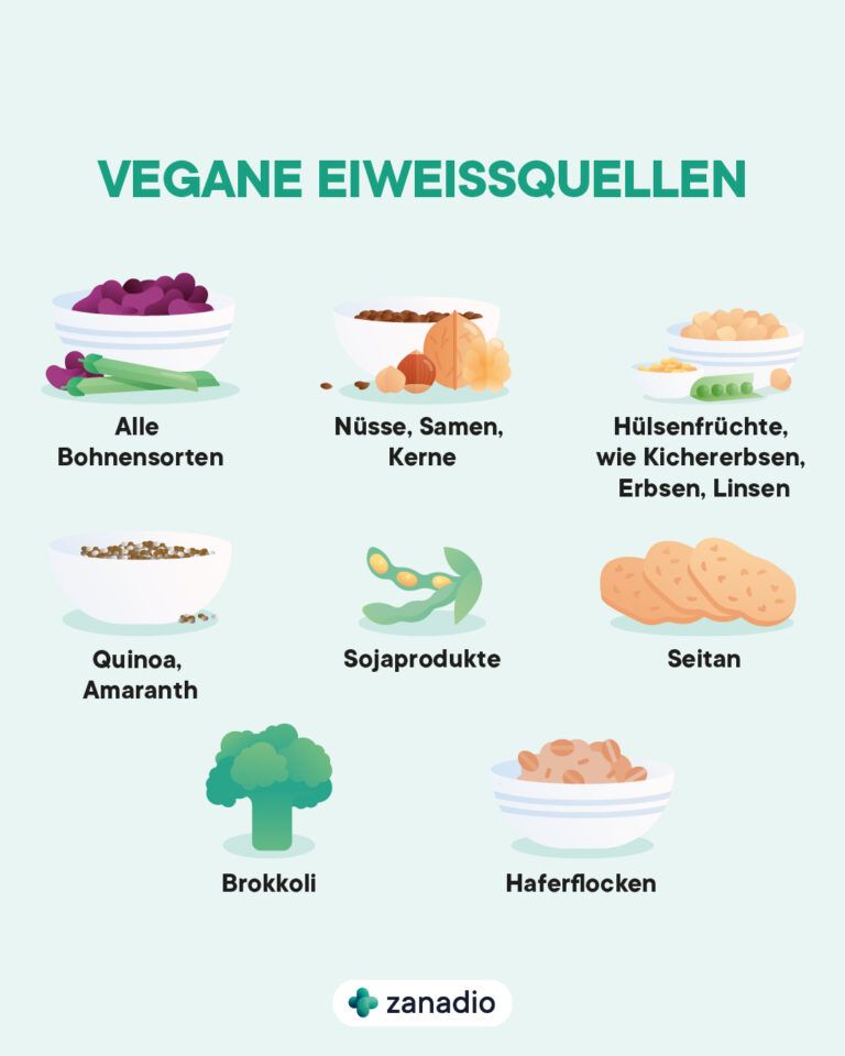 Infografik mit acht veganen Eiweißquellen: Bohnen, Nüsse und Samen, Hülsenfrüchte, Quinoa, Sojaprodukte, Seitan, Brokkoli und Haferflocken
