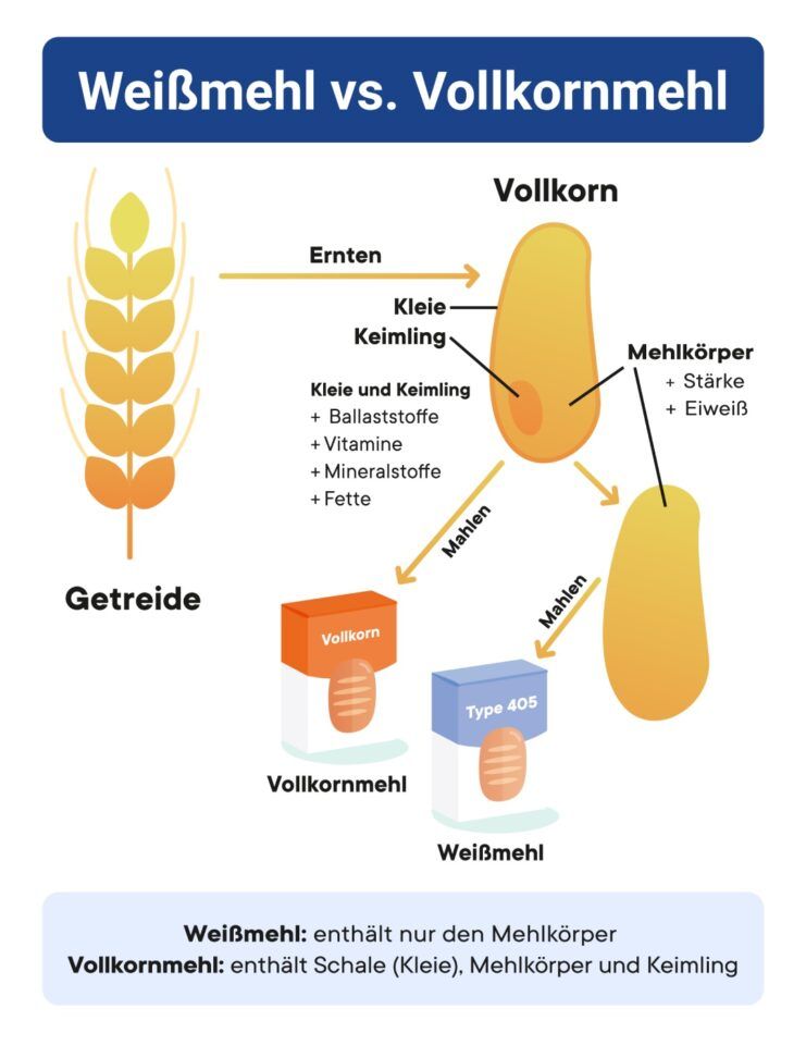 Grafik „Weißmehl vs. Vollkornmehl“: Aufbau des Getreidekorns aus Kleie, Keimling und Mehlkörper und was beim Mahlen jeweils übrig bleibt